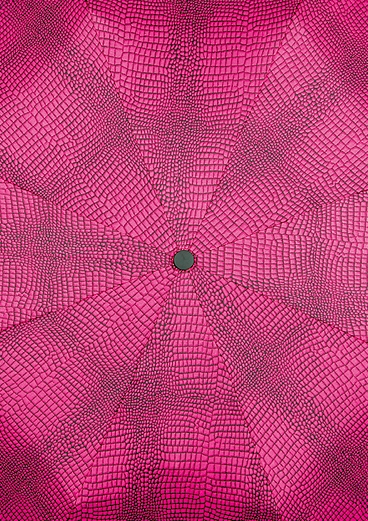 Taschenschirm