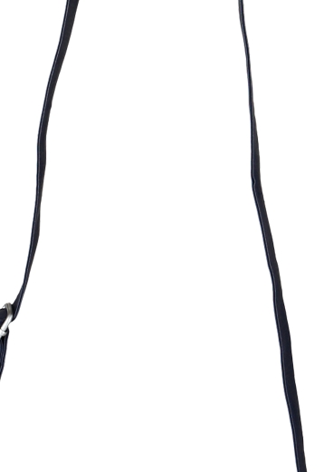 City Bag