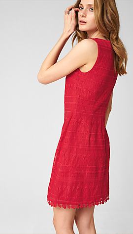 Kleid aus Baumwoll-Spitze im s.Oliver Online Shop